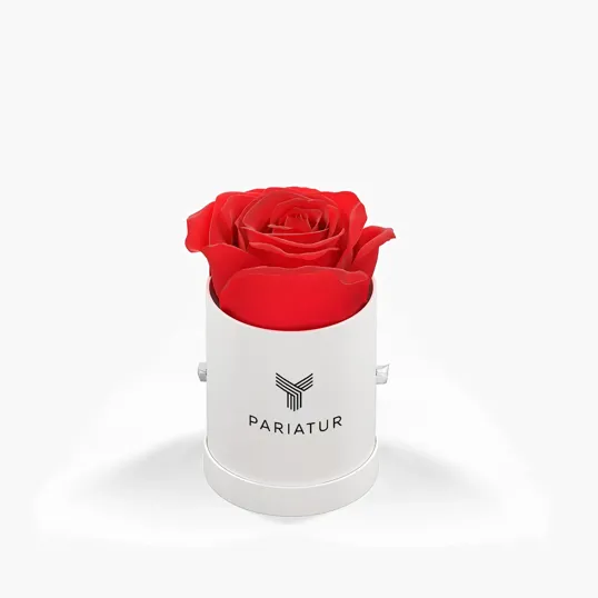 Classique by VeF Le Mini™ Round Eternity® Rose Hat Box — view 5
