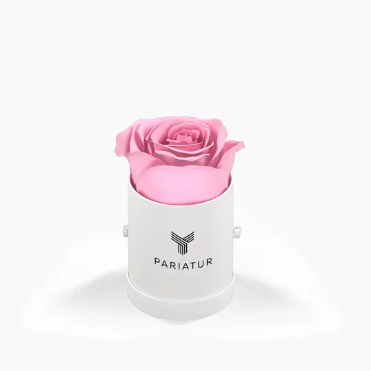 Classique by VeF Le Mini™ Round Eternity® Rose Hat Box — view 6