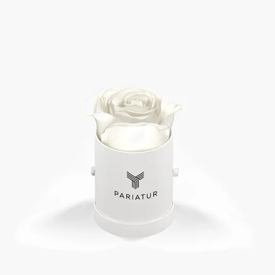 Classique by VeF Le Mini™ Round Eternity® Rose Hat Box — view 7