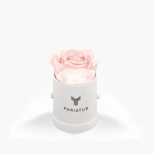 Classique by VeF Le Mini™ Round Eternity® Rose Hat Box — view 10