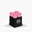 Classique by VeF Petit Eternity® Rose Hat Box