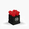 Classique by VeF Petit Eternity® Rose Hat Box — view 2