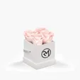 Classique by VeF Petit Eternity® Rose Hat Box — view 11