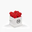 Classique by VeF Petit Eternity® Rose Hat Box — view 5