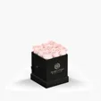 Classique Mini Square by VeF Eternity Rose Arrangement — view 10