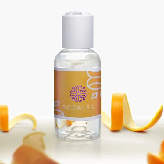 Alcohol Hand Sanitizer, 2 oz Travel Bottle