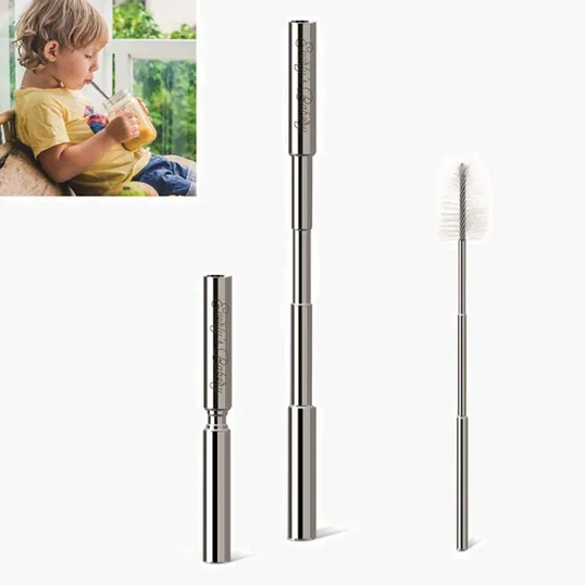 Expandable Stainless Steel Straw With Case