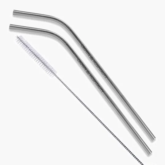Bent Stainless Steel Straws, Set of 2 in Silver