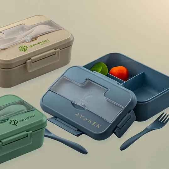 Wheat Straw Lunch Box Set with Spoon and Fork