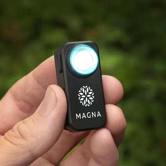 Lumaray Clip-On Flashlight, 200 Lumens