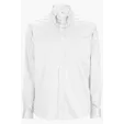 Executive Oxford Button Down Men's Shirt