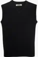Essential Unisex V-Neck Vest