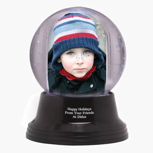 Small Light Up Snowglobe
