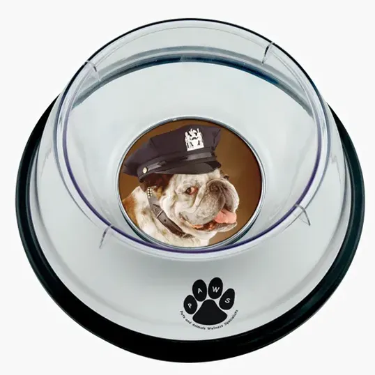 Small Pet Bowl