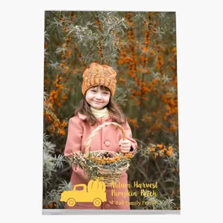 Picture For 4 x 6 Easel Frame