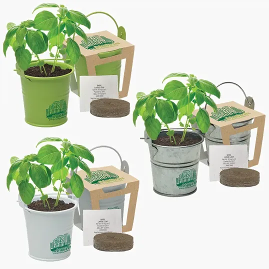 Mini Pail Blossom Kit with Watering Can Planter and Seed Packet