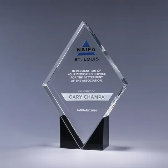 Paradigm Optic Crystal Award, 9" x 6"