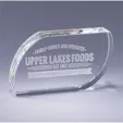 Leaf Optic Crystal Paperweight