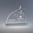 Stellar Clear Acrylic Award, 7" x 8" x 2"