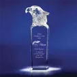 Sky Master Optic Crystal Award