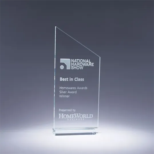 Transcend Crystal Award