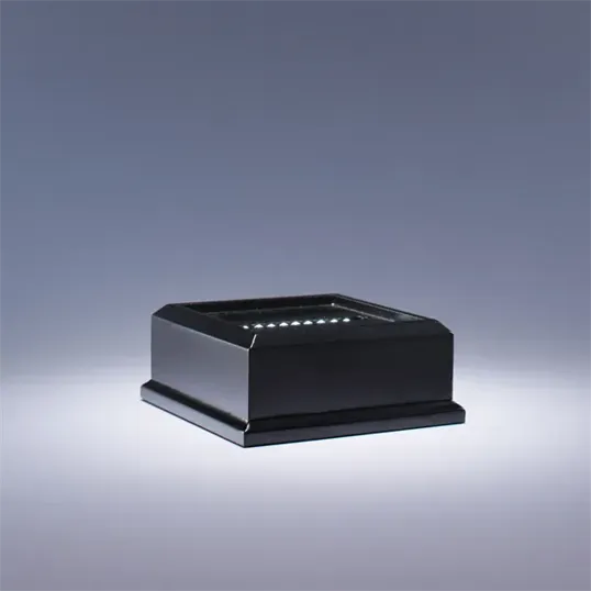 Excelsior Optic Crystal Award