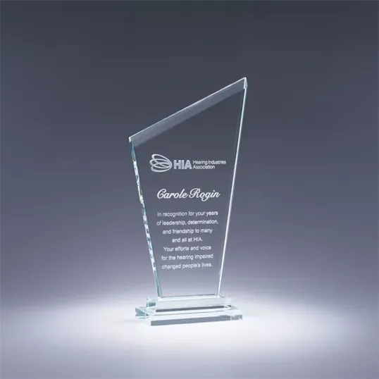 Motion Crystal Award