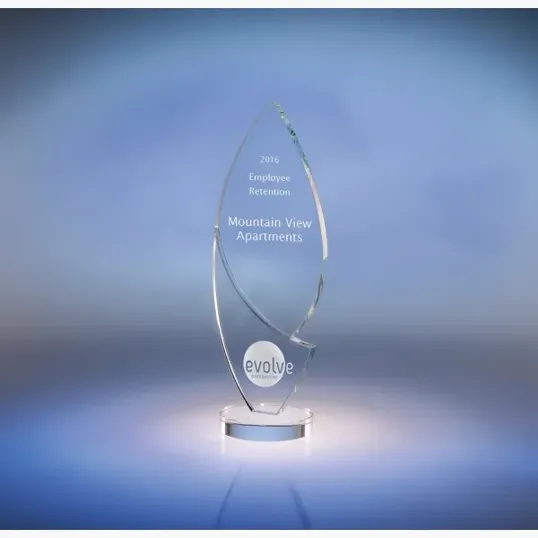 Enlighten Starphire Crystal Award