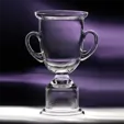 Adirondack Hand-Blown Crystal Cup Award — view 3