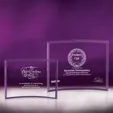 Bent Glass Jade Crystal Award