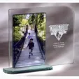 Mainliner Jade Crystal Picture Frame, 4" x 6"