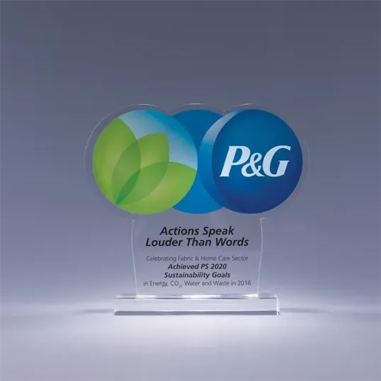 3/8" Thick Custom Cut Acrylic Award