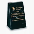 Berkeley Solid Black Marble Award