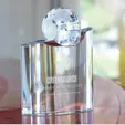 Trento Crystal Globe Award — view 3