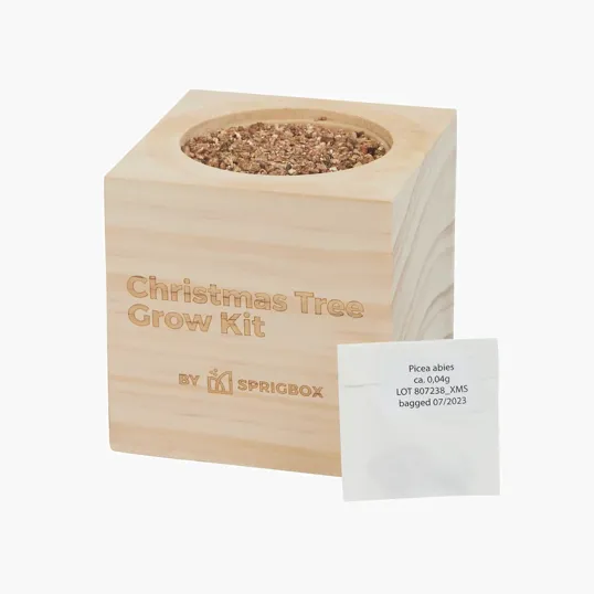 Sprigbox Christmas Tree Grow Kit with Wooden Pot — view 3
