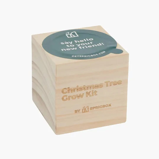 Sprigbox Christmas Tree Grow Kit with Wooden Pot — view 4