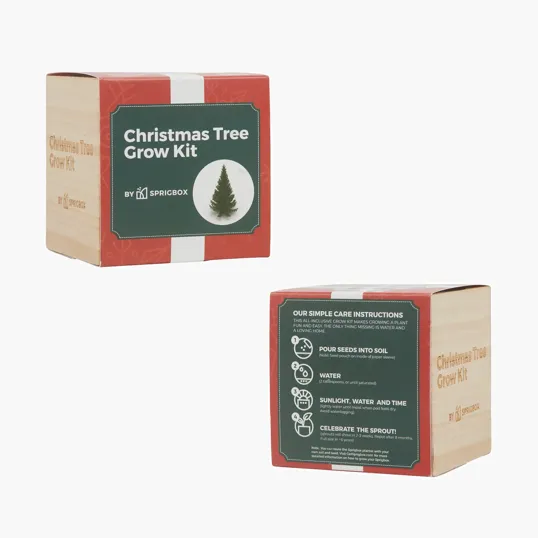 Sprigbox Christmas Tree Grow Kit with Wooden Pot — view 7