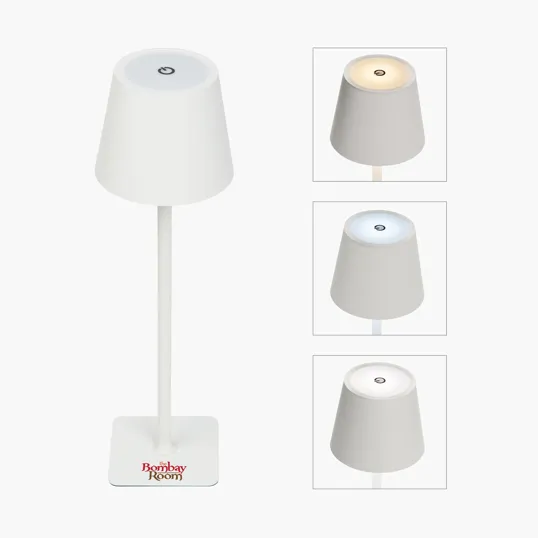 Theo LED Rechargeable Desk Lamp