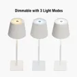Theo LED Rechargeable Desk Lamp — view 5