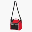 Geneva 16-Can Cooler Bag — view 6