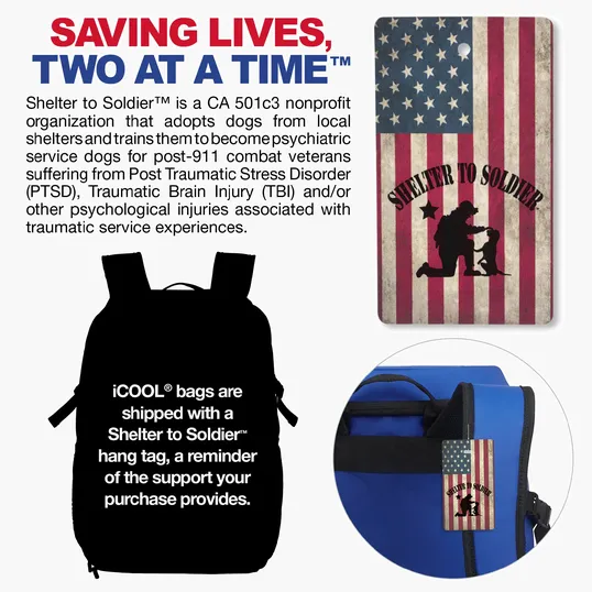 iCOOL® Vail 20-Can Cooler Backpack — view 7