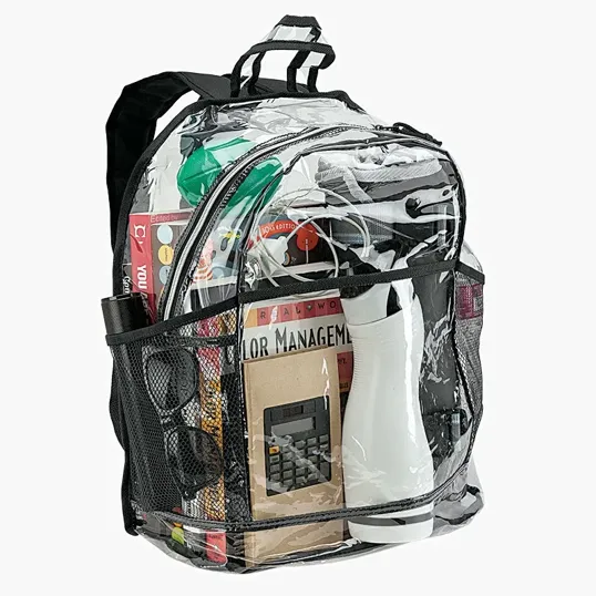 Havelock Clear Backpack — view 5