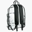 Havelock Clear Backpack — view 4