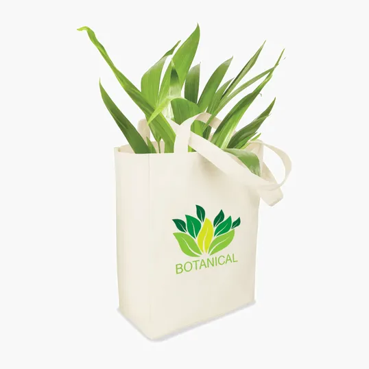 Sovrano Natural Canvas Tote — view 7