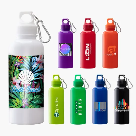 Brio 20 oz. PS Water Bottle with Aluminum Carabiner