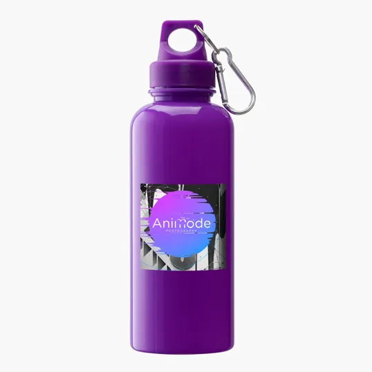 Brio 20 oz. PS Water Bottle with Aluminum Carabiner — view 16