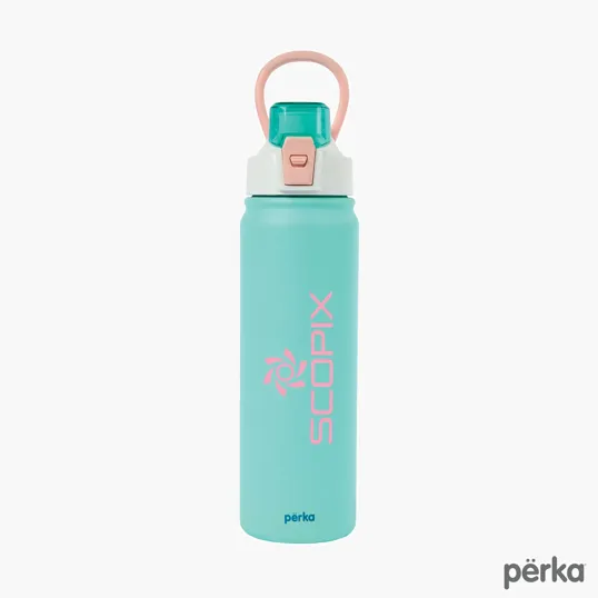 Perka® Rex Fresh 24 oz. Double Wall Recycled Stainless Steel Water Bottle — view 2