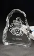 Large Iceberg Glass Award