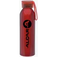 22 oz. Shimmer Aluminum Bottle