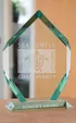 Large Mallory Award in Jade Crystal